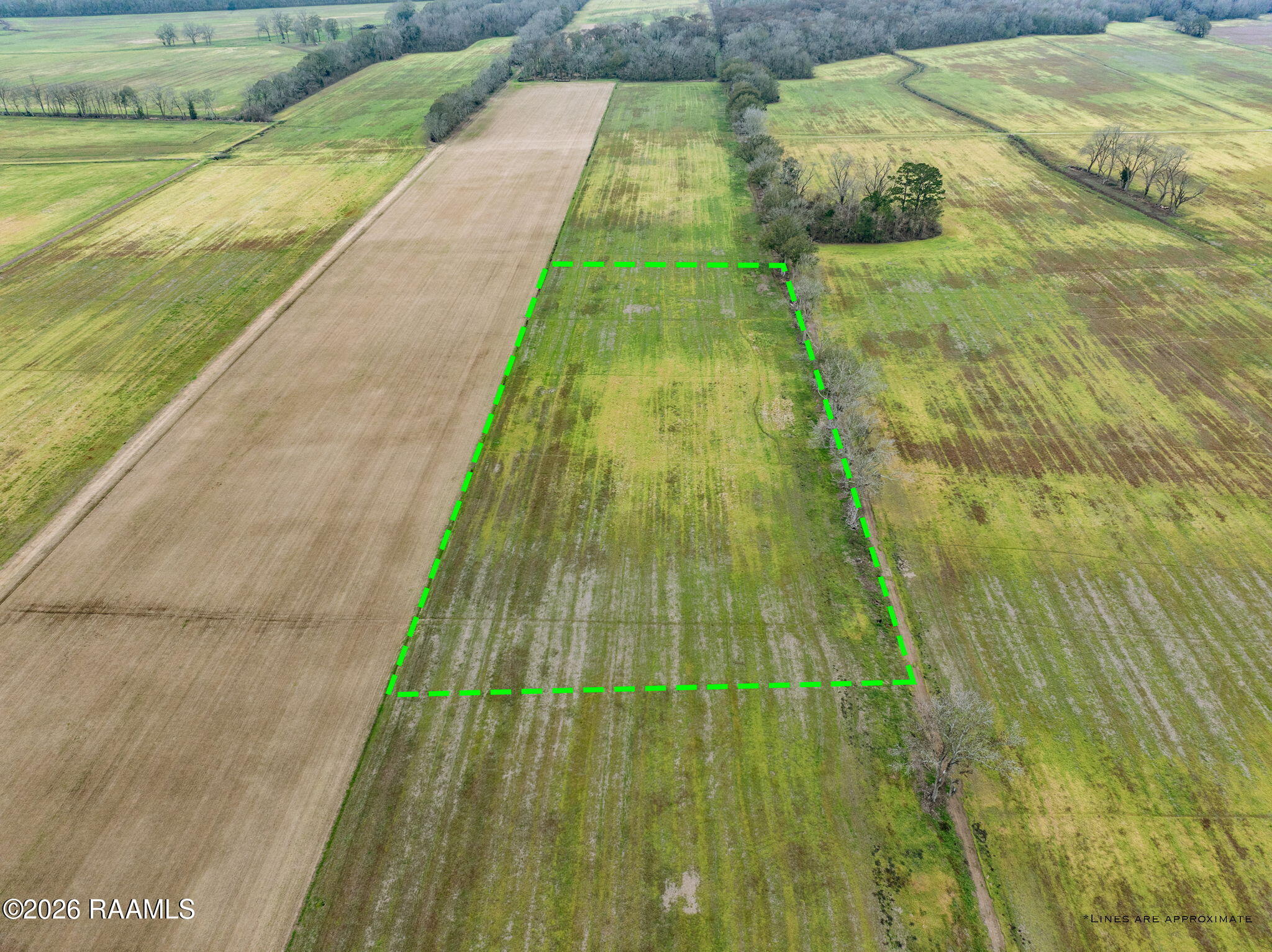 Tbd Oscar Rivette Road Arnaudville, LA 70512 - Photo 20 of 32 10-web-or-mls-DJI_20260124031912_0687_D-