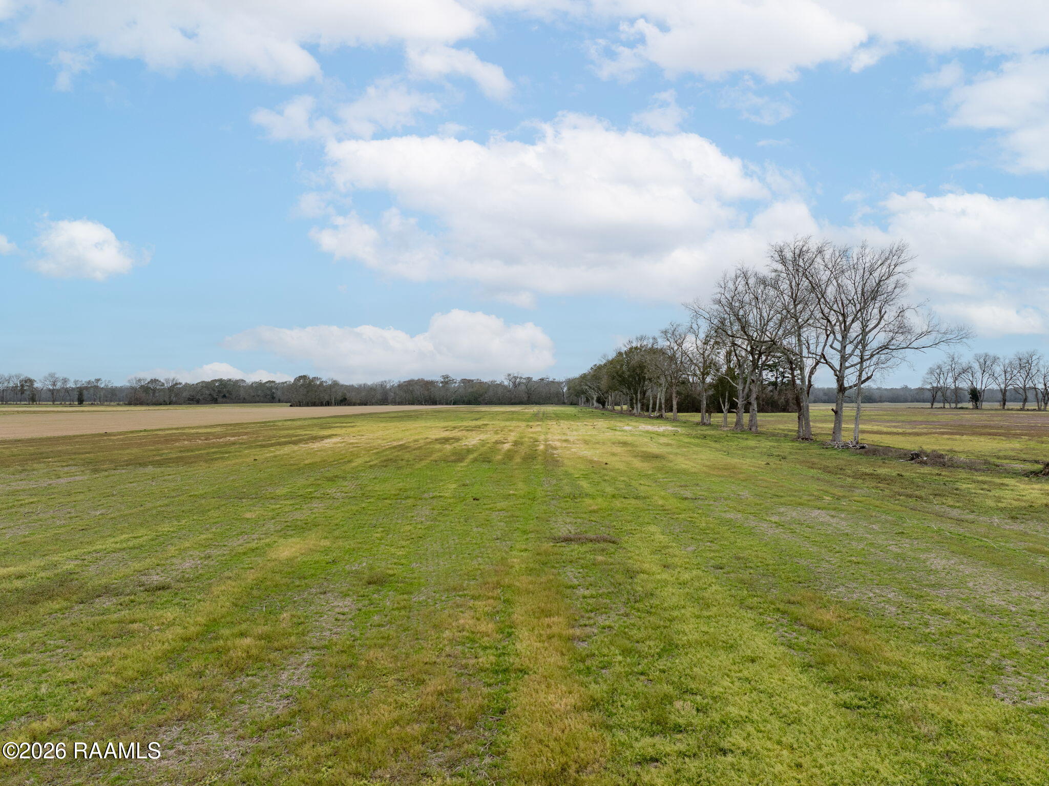 Tbd Oscar Rivette Road Arnaudville, LA 70512 - Photo 29 of 32 8-web-or-mls-DJI_20260124031832_0684_D-E