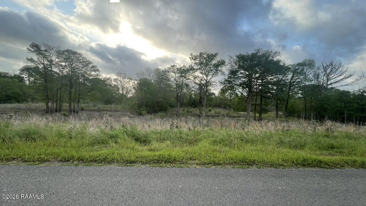 Tbd Oscar Rivette Road Arnaudville, LA 70512 - Photo 30 of 32 IMG_0132 Large