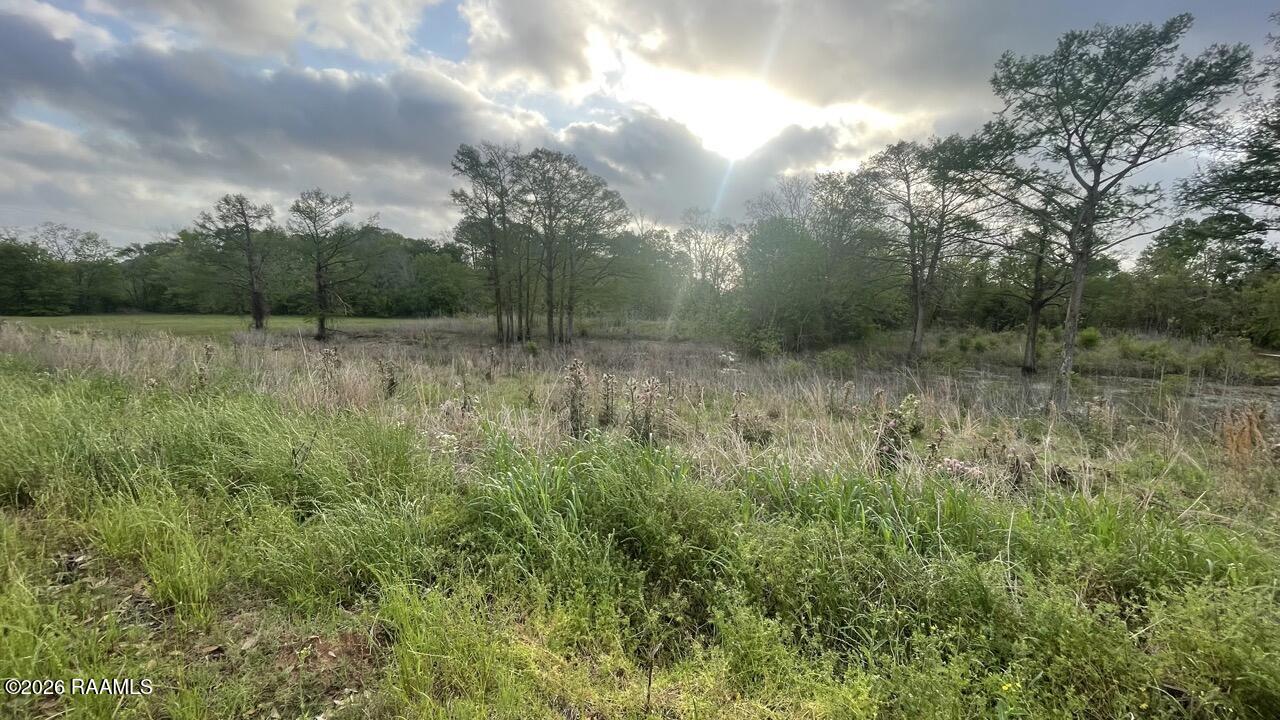 Tbd Oscar Rivette Road Arnaudville, LA 70512 - Photo 31 of 32 IMG_0133 Large