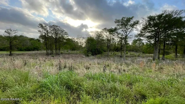$550,000 | Tbd Oscar Rivette Road, Arnaudville, LA 70512