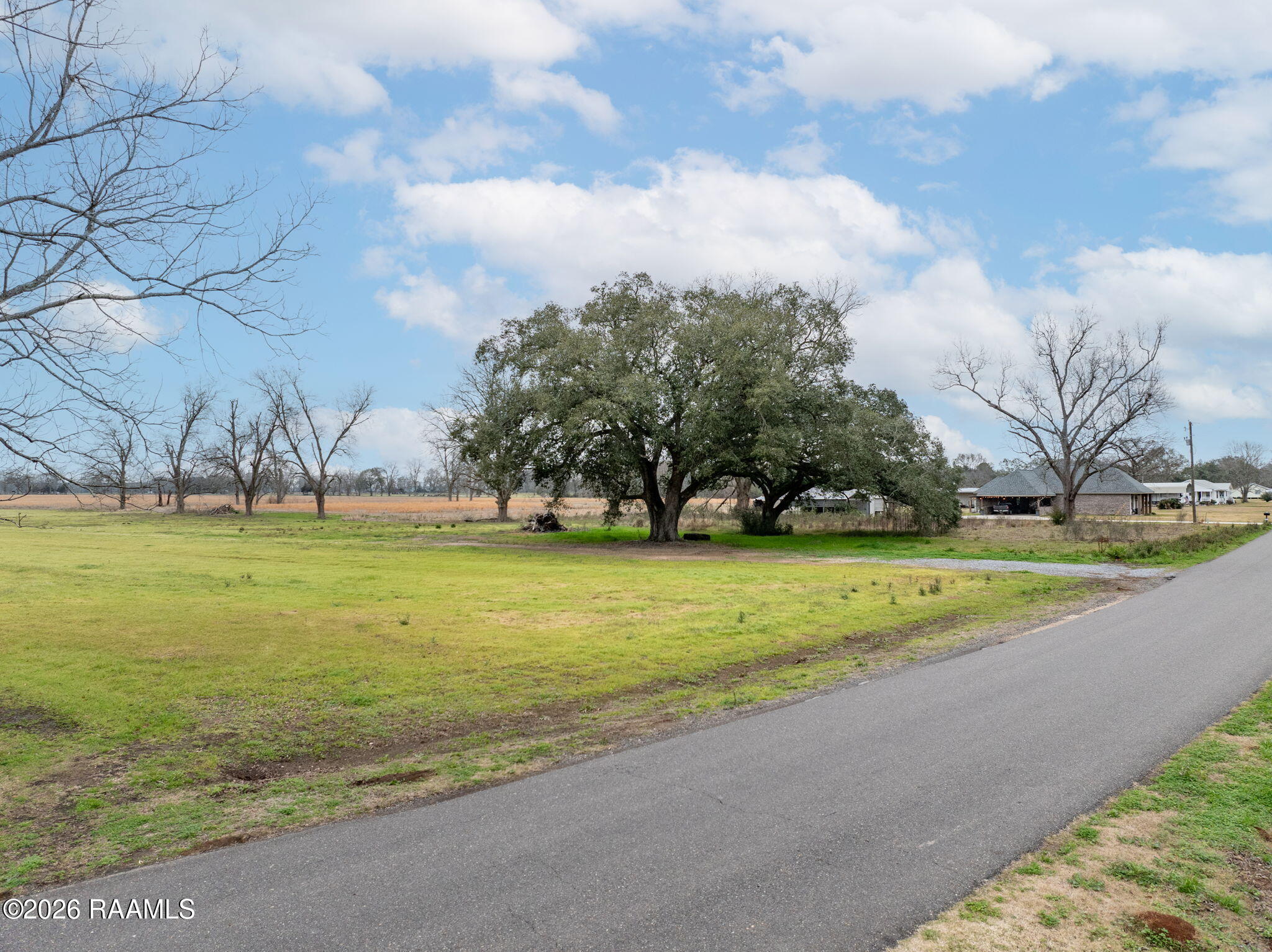 Tbd Oscar Rivette Road Arnaudville, LA 70512 - Photo 4 of 32 2-web-or-mls-DJI_20260124025712_0654_D-E