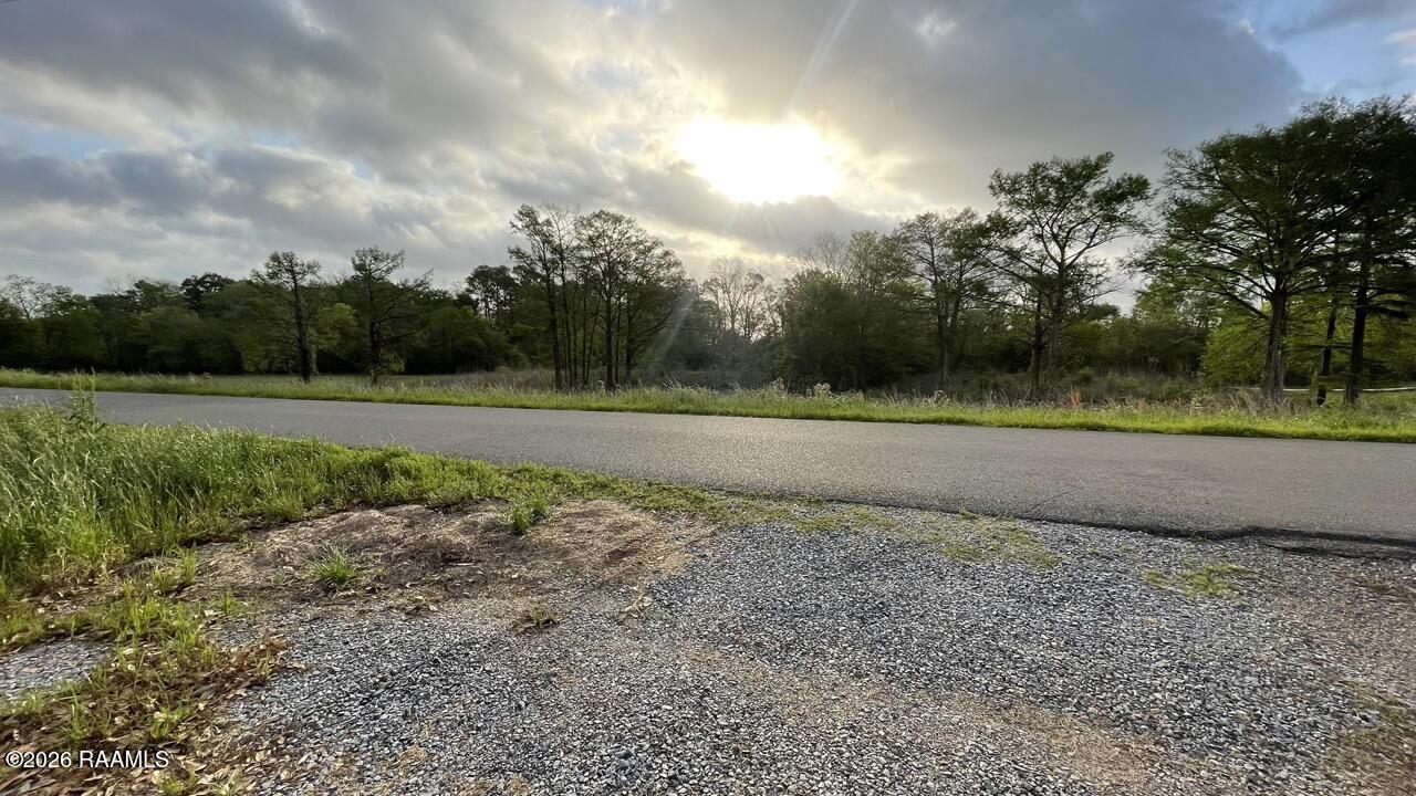 Tbd Oscar Rivette Road Arnaudville, LA 70512 - Photo 6 of 32 IMG_0140 Large