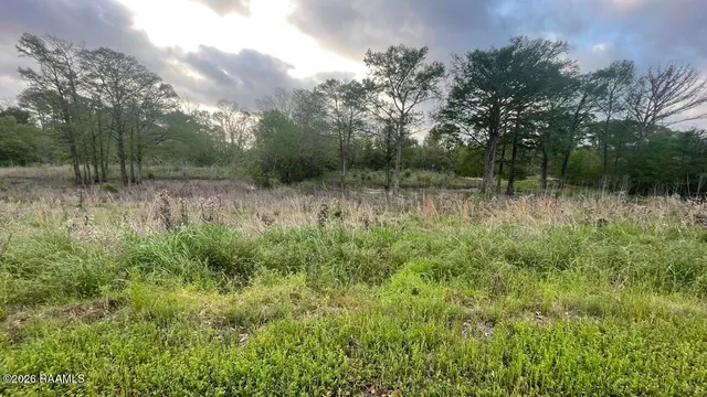 $550,000 | Tbd Oscar Rivette Road, Arnaudville, LA 70512