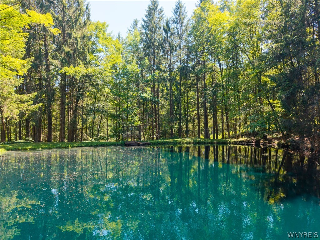 3367 Dunham Road Orangeville, NY 14569 - Photo 5 of 50 Pond