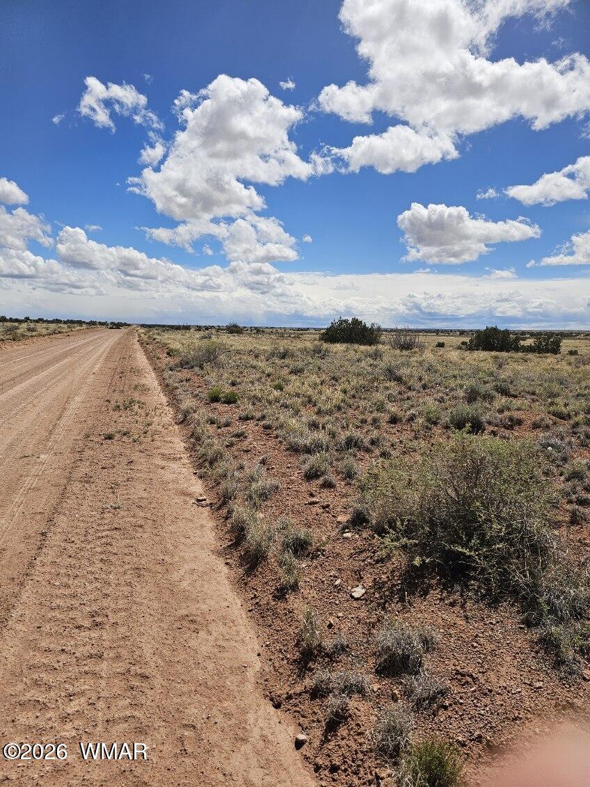 Tbd Tbd Chev Canyon Ranch Heber, AZ 85928 - Photo 11 of 17