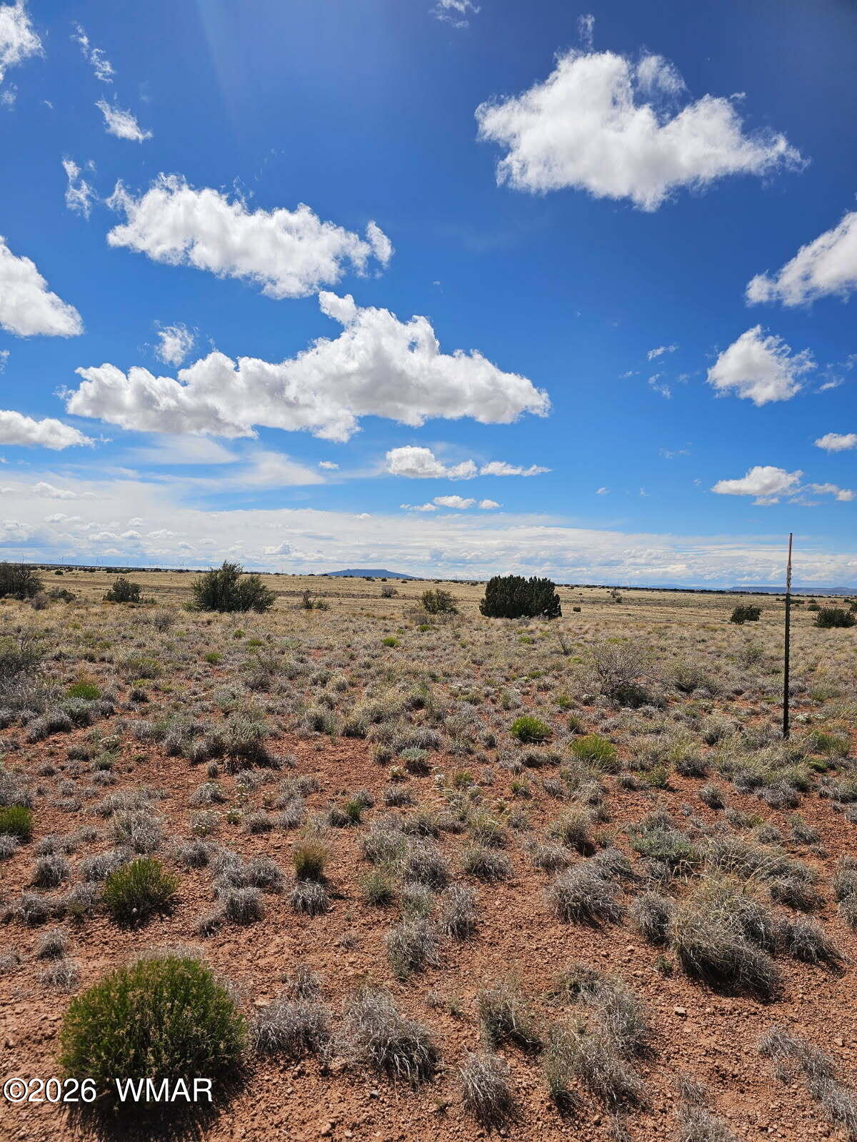 Tbd Tbd Chev Canyon Ranch Heber, AZ 85928 - Photo 16 of 17 a view of a dry yard