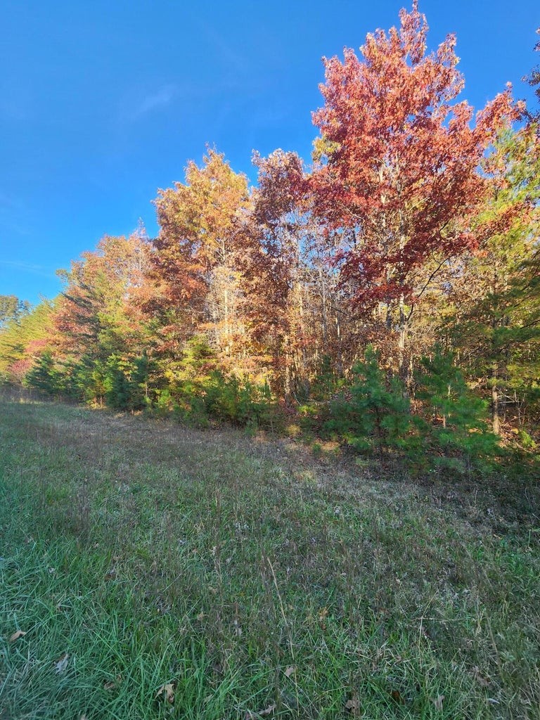 86 5th Road Altamont, TN 37301 - Photo 13 of 22 Gallery Image 13