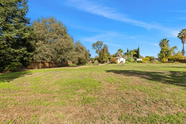 a view of yard with large trees