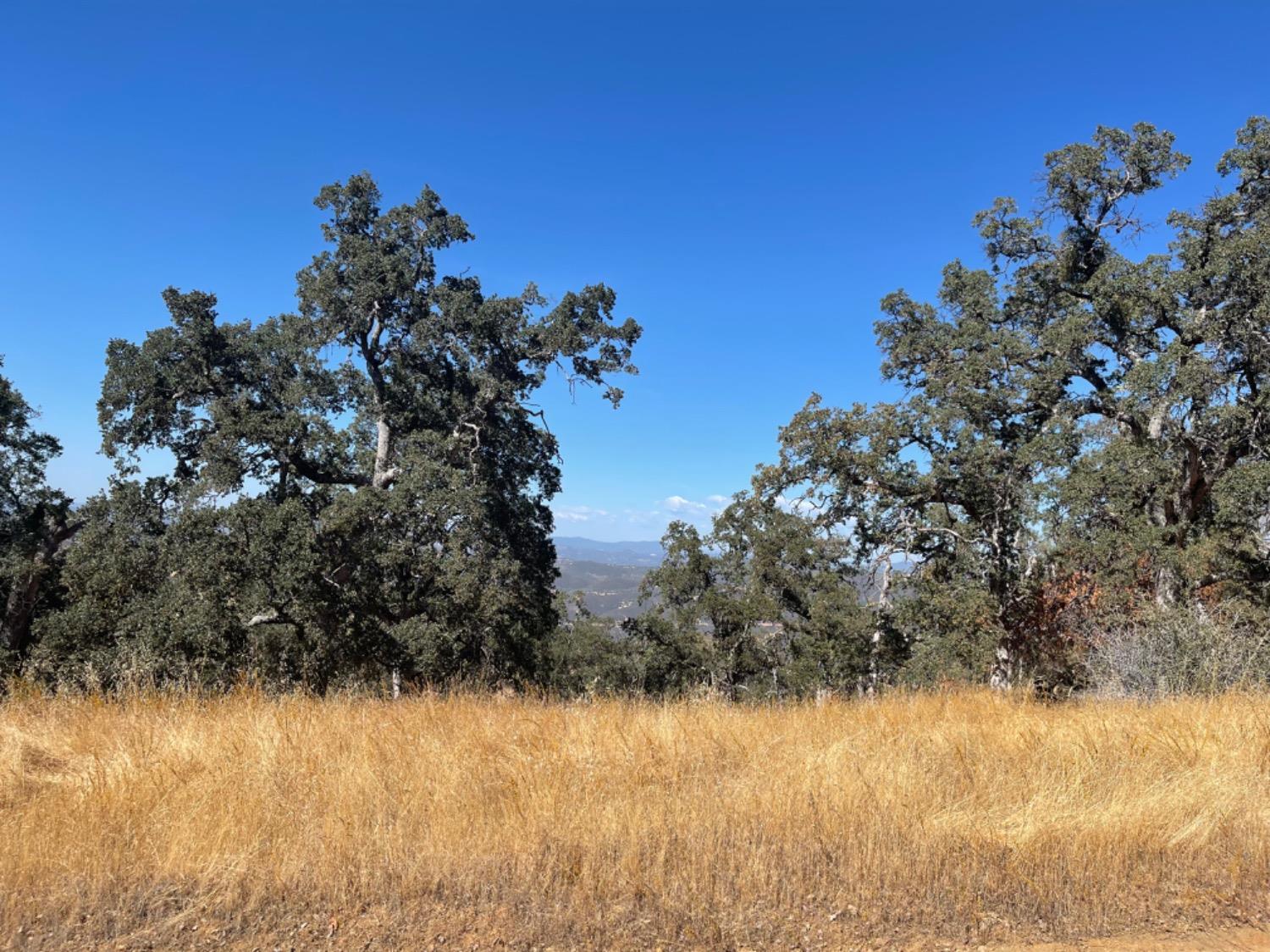 0 Nancys Ridge Coulterville, CA 95311 - Photo 14 of 16