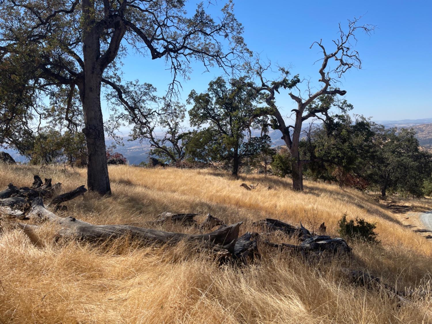 0 Nancys Ridge Coulterville, CA 95311 - Photo 2 of 16