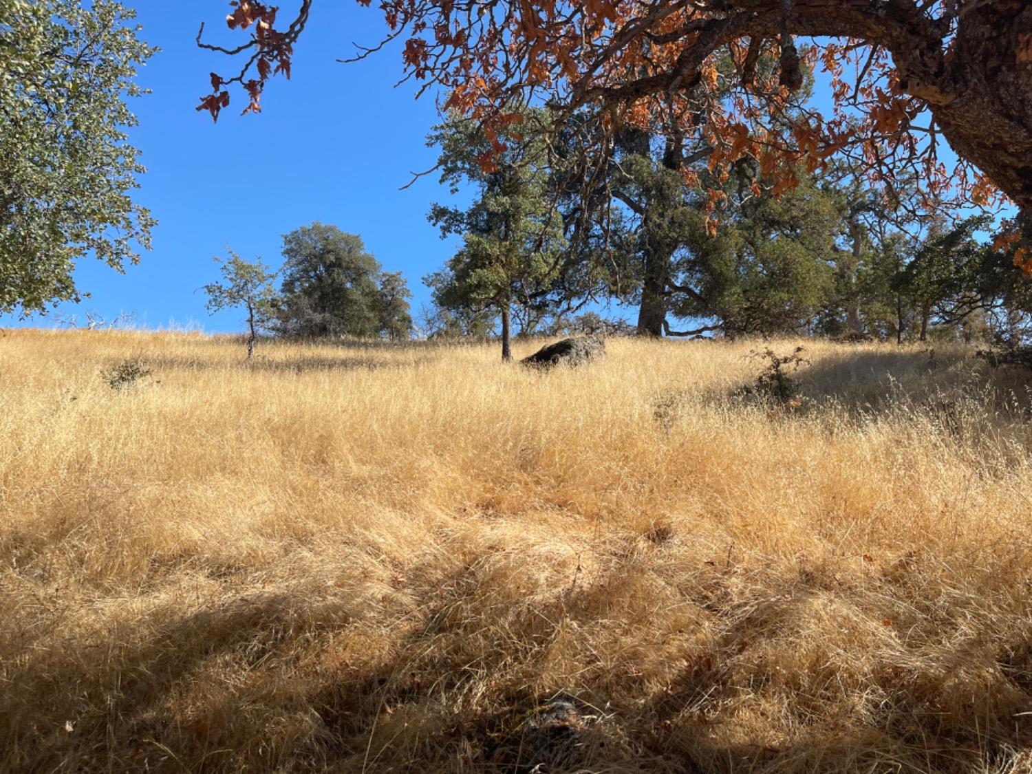 0 Nancys Ridge Coulterville, CA 95311 - Photo 3 of 16