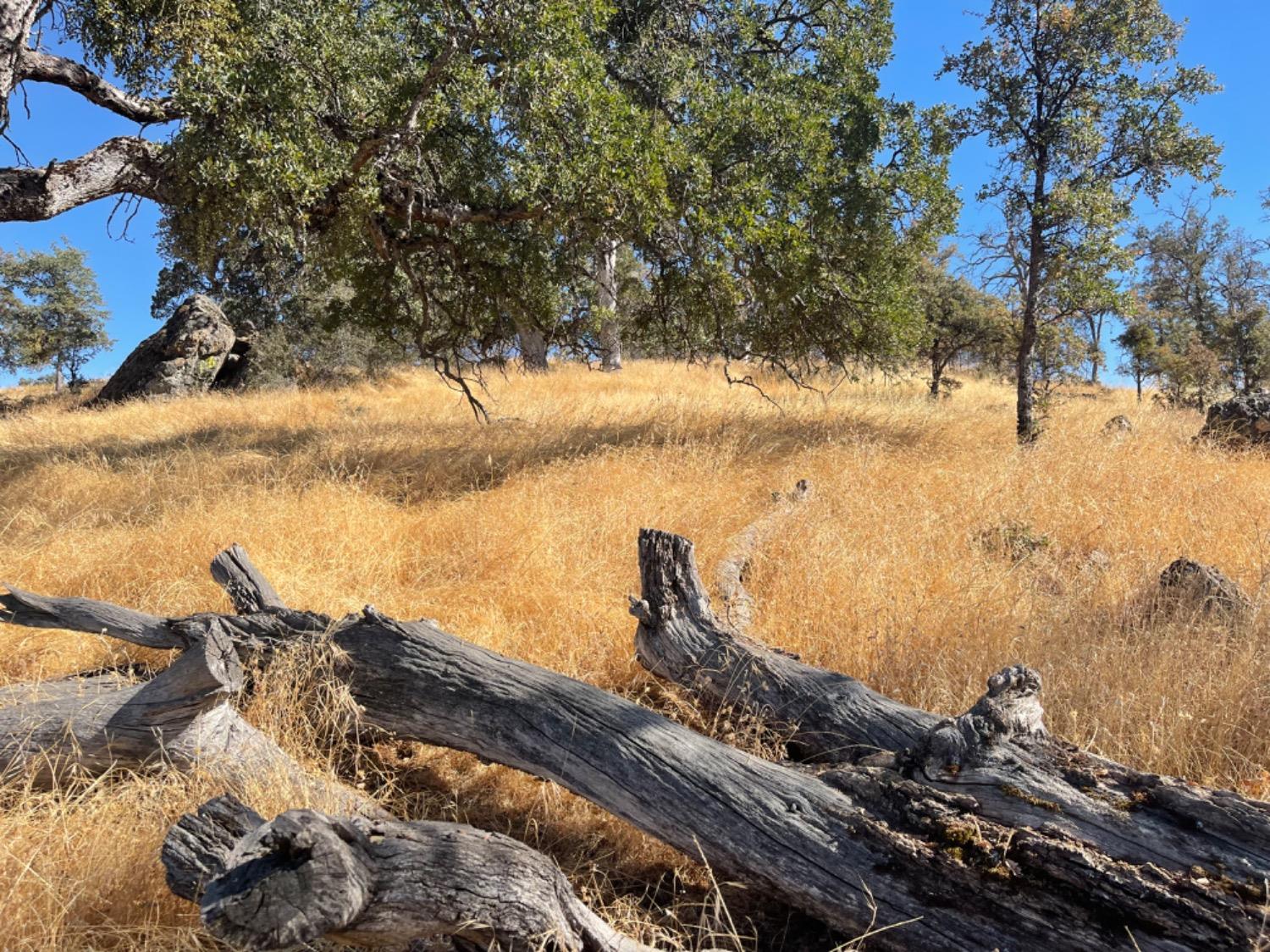 0 Nancys Ridge Coulterville, CA 95311 - Photo 4 of 16