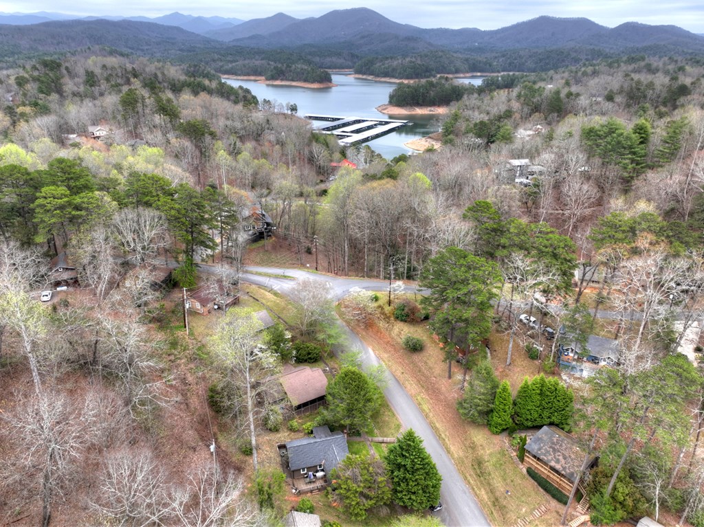 190 Village Road Murphy, NC 28906 - Photo 16 of 50 an aerial view of residential house and green space