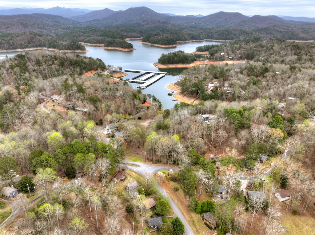 190 Village Road Murphy, NC 28906 - Photo 5 of 50 a view of lake and mountain