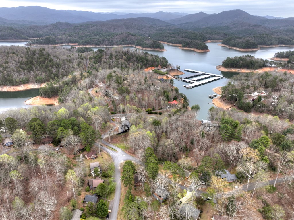190 Village Road Murphy, NC 28906 - Photo 7 of 50 a view of lake and mountain