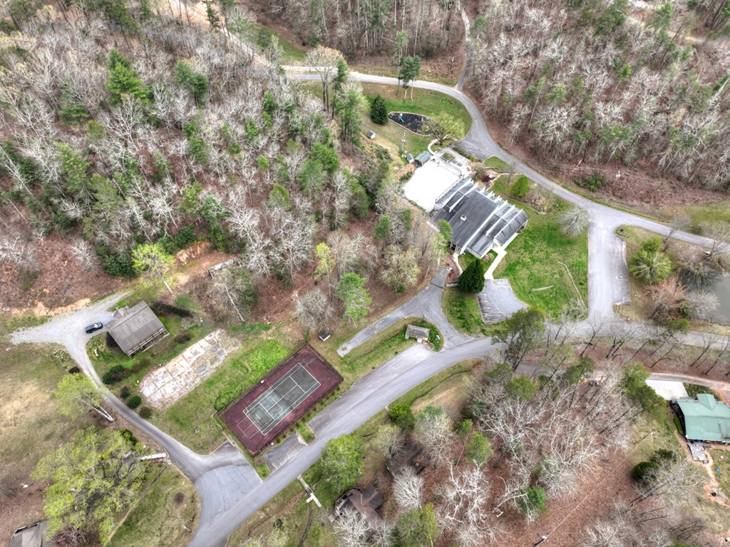 190 Village Road Murphy, NC 28906 - Photo 8 of 50 a view of yard