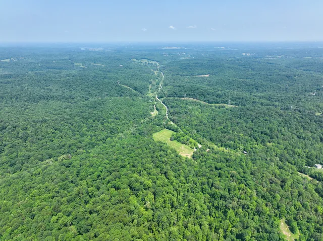 a view of a green field with lots of bushes