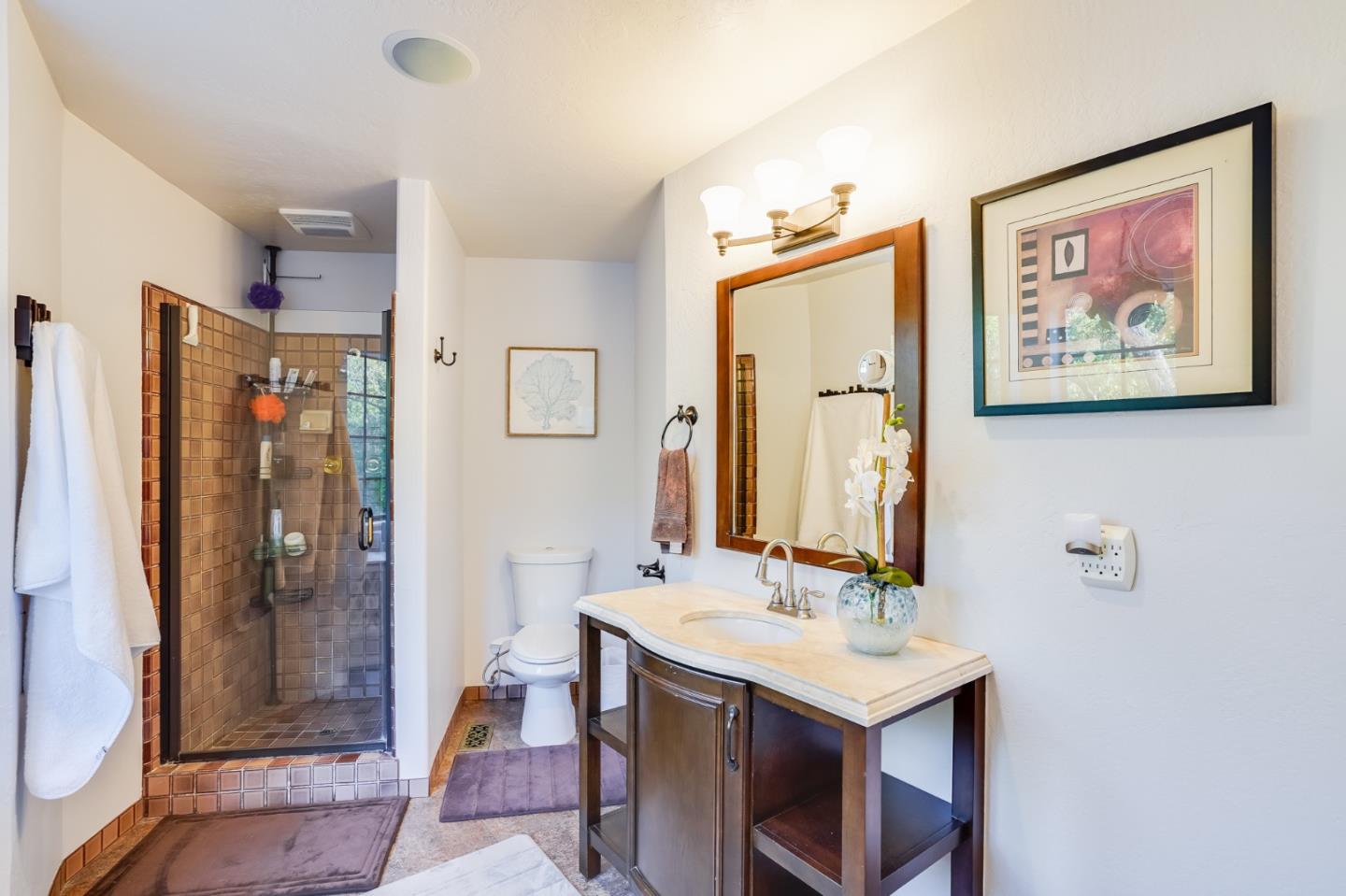 18565 Overlook Road Monte Sereno, CA 95030 - Photo 46 of 72 a bathroom with a sink a mirror and a shower