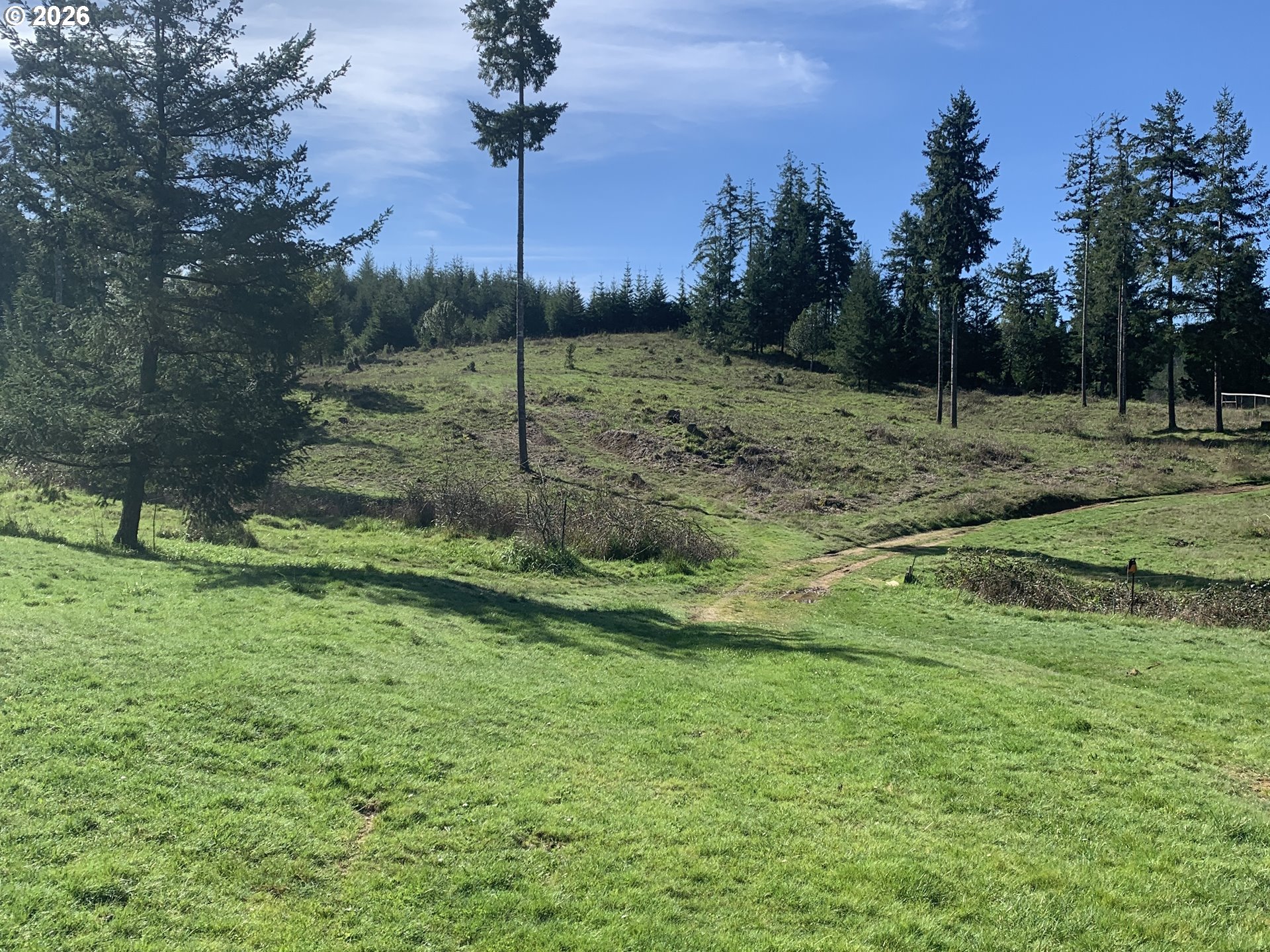 54885 Arago-Fishtrap Road Myrtle Point, OR 97458 - Photo 2 of 10 a view of a park