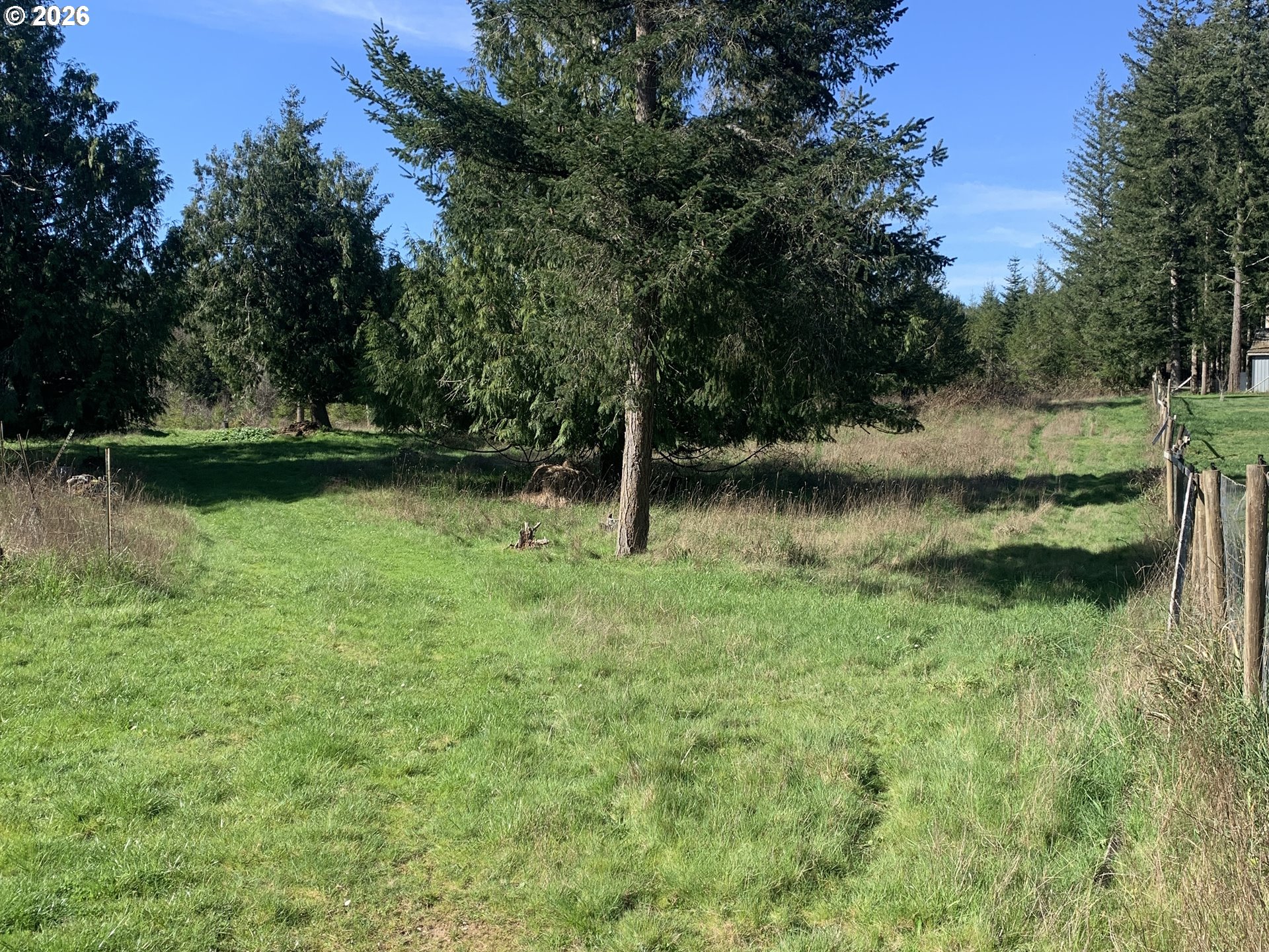 54885 Arago-Fishtrap Road Myrtle Point, OR 97458 - Photo 5 of 10 a backyard of a house with lots of green space
