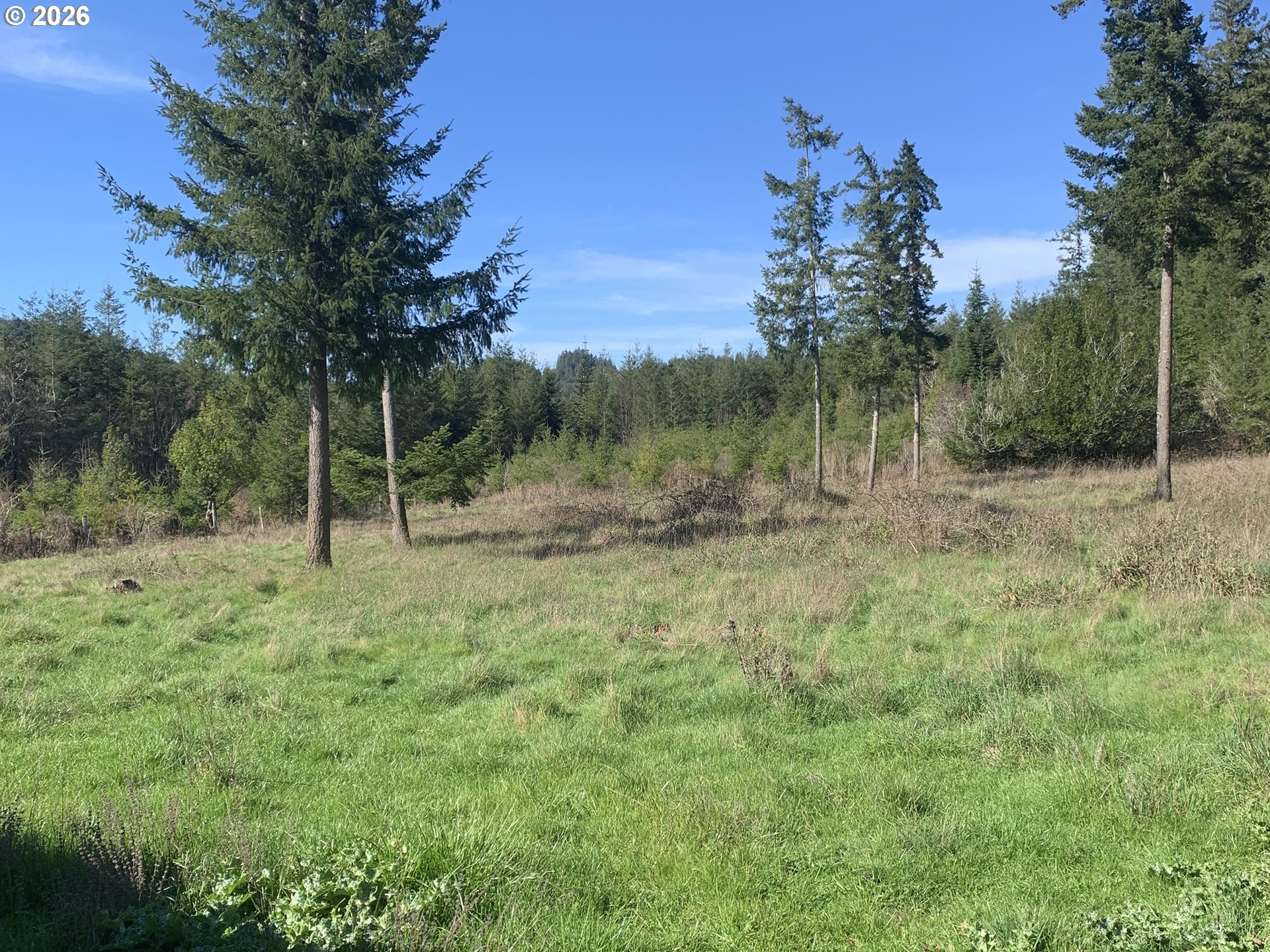 54885 Arago-Fishtrap Road Myrtle Point, OR 97458 - Photo 8 of 10 a view of outdoor space with trees all around