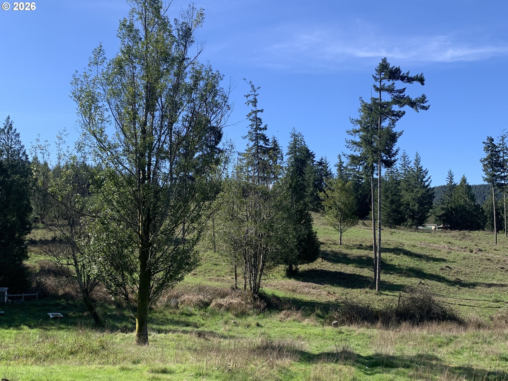 54885 Arago-Fishtrap Road Myrtle Point, OR 97458 - Photo 10 of 10 a view of a park with large trees