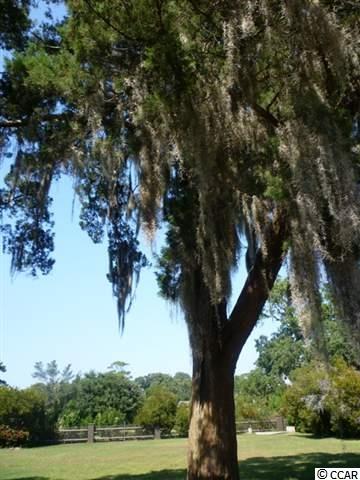 Lot 3 Oak Moss Court Murrells Inlet, SC 29576 - Photo 3 of 5 Gallery Image 3