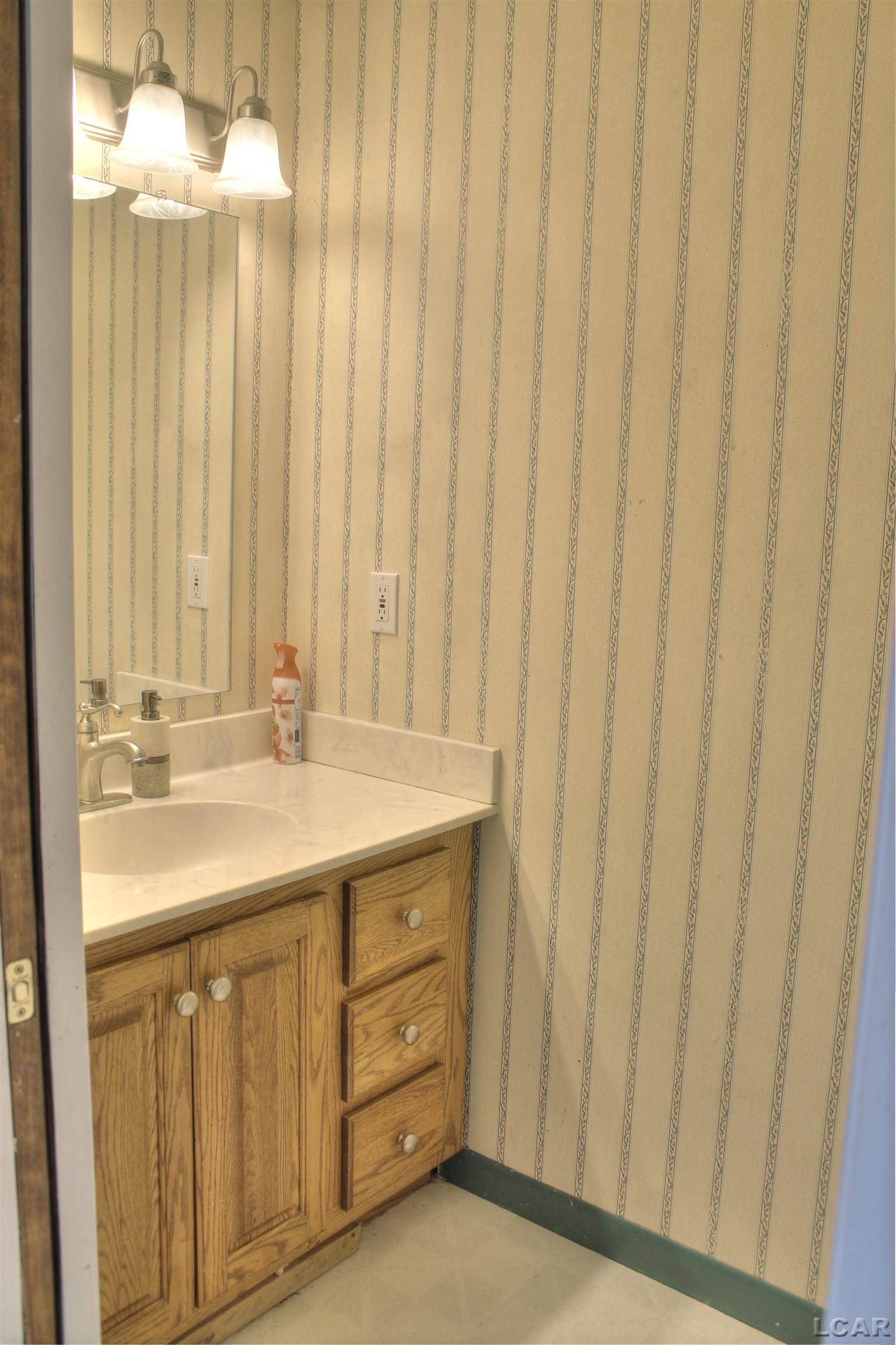 163 Raisin Street Deerfield, MI 49238 - Photo 10 of 25 50101190-9.JPG