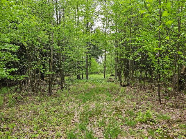 919 Taylor Road Bear Lake, PA 16402 - Photo 2 of 3 Gallery Image 2