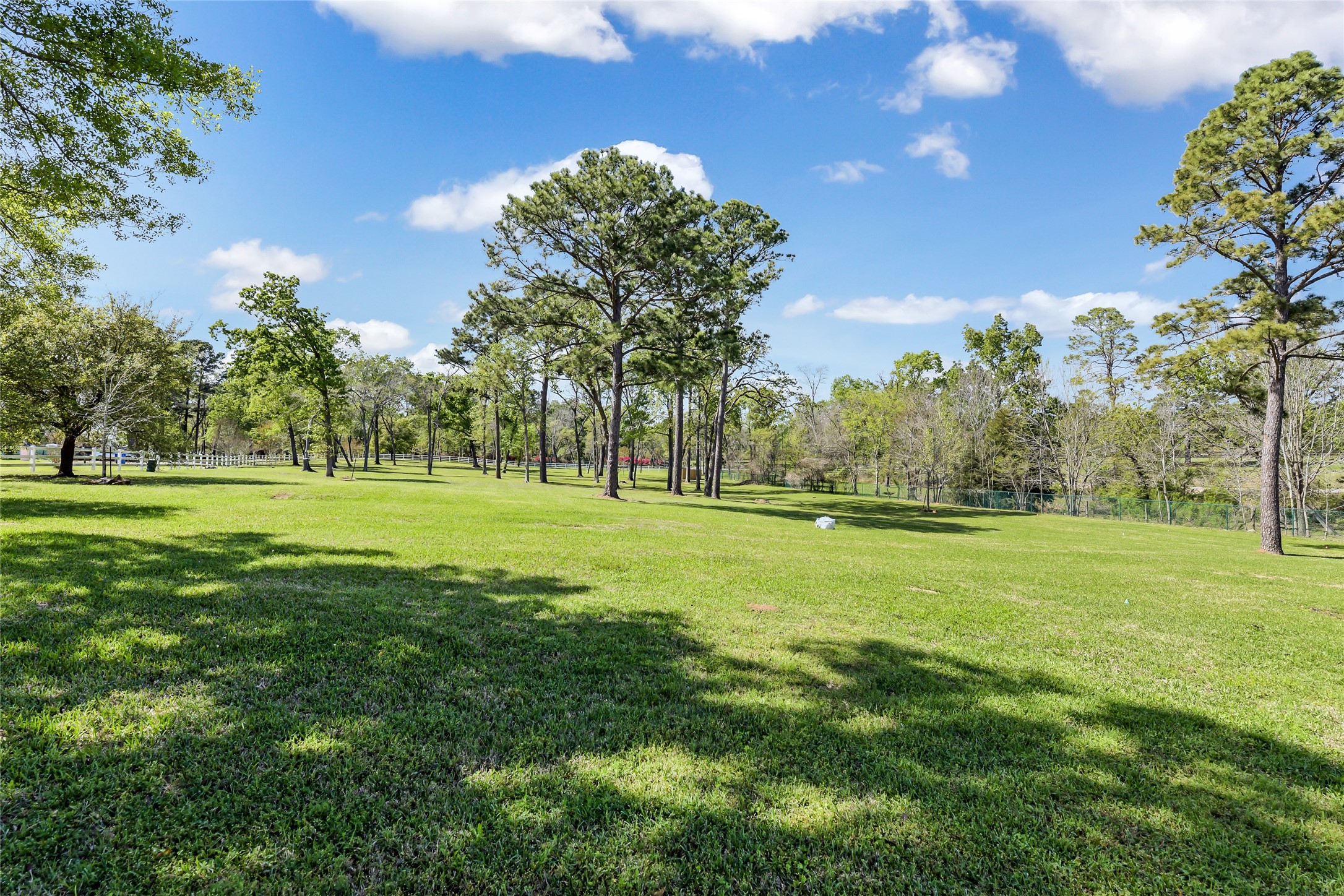 367 Fawn Road Livingston, TX 77351 - Photo 2 of 50