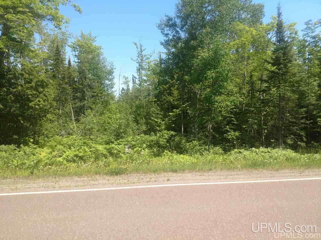 Tbd Karschney Road South Lanse, MI 49946 - Photo 11 of 11