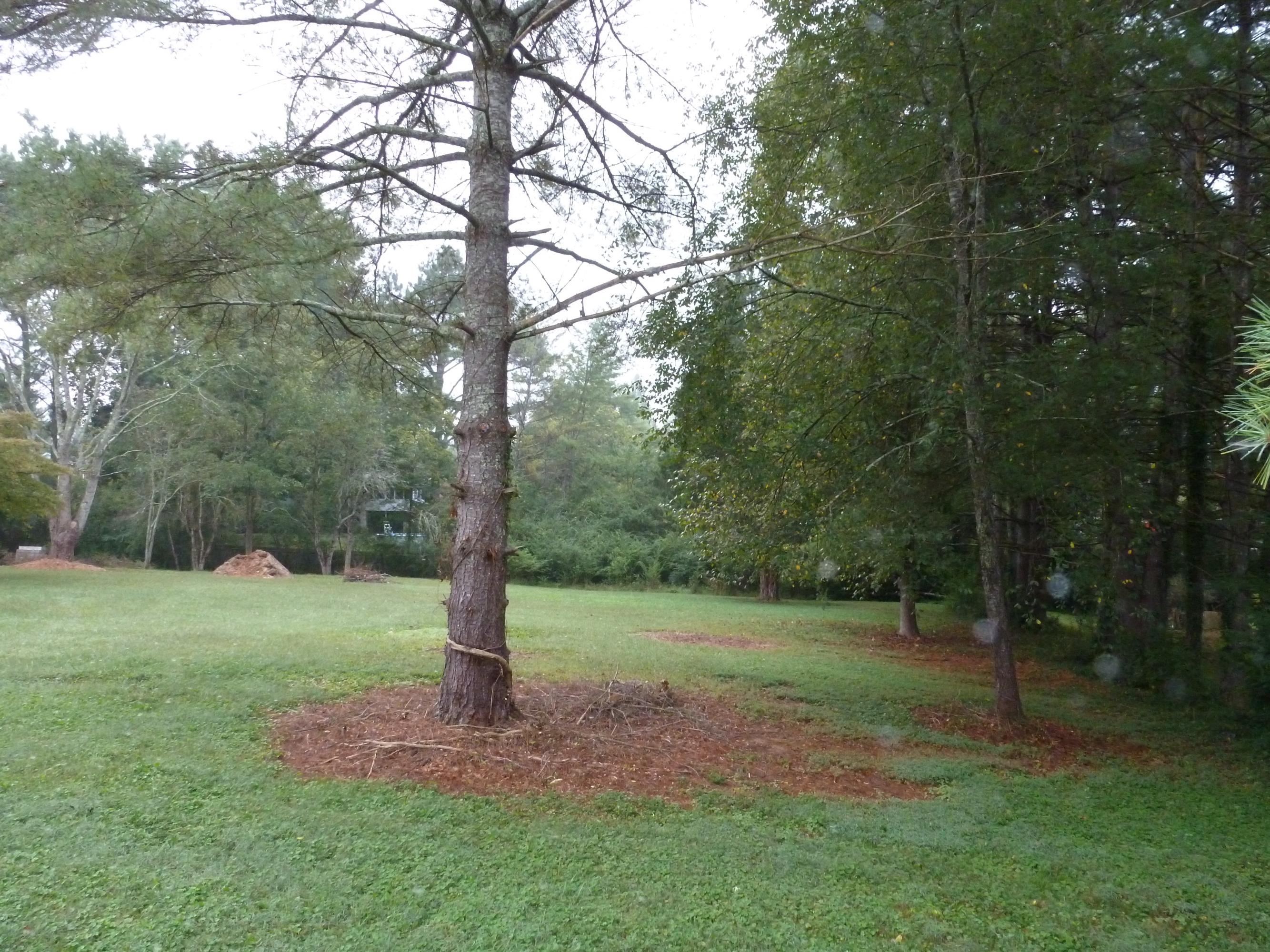 102 Baker Lane Oak Ridge, TN 37830 - Photo 1 of 2 baker1