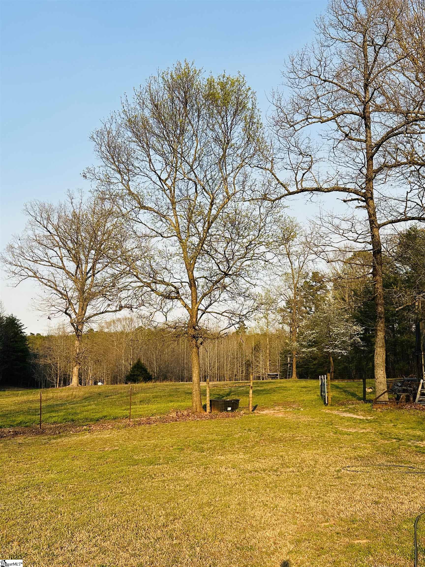 124 Pink Dill Mill Road Greer, SC 29651 - Photo 33 of 33