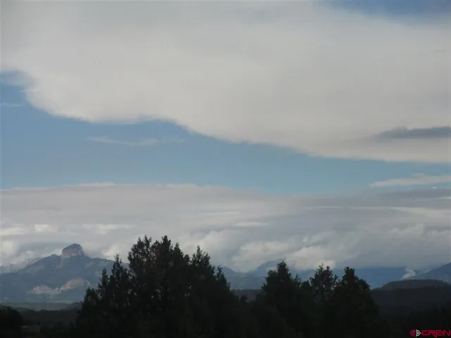 a view of city and green space