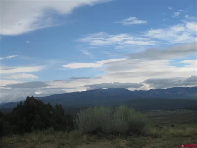 a view of city and green field