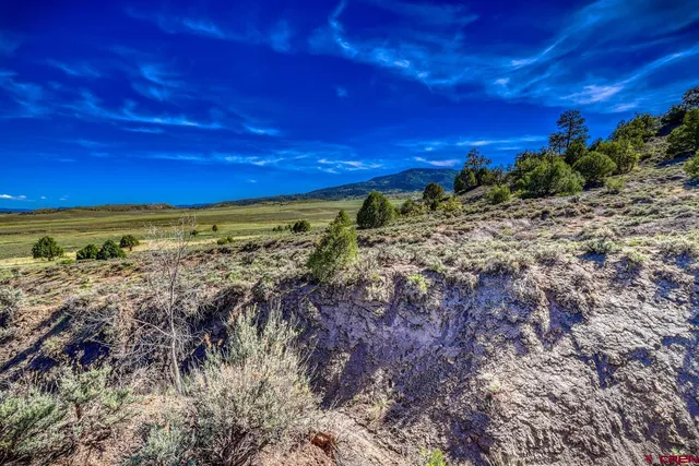 a view of a yard with an ocean