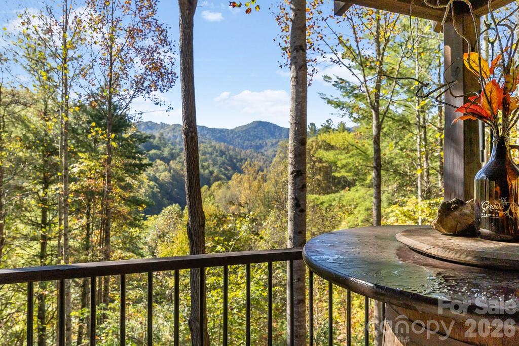 111 Elkhound Road Waynesville, NC 28785 - Photo 29 of 47 Gallery Image 29