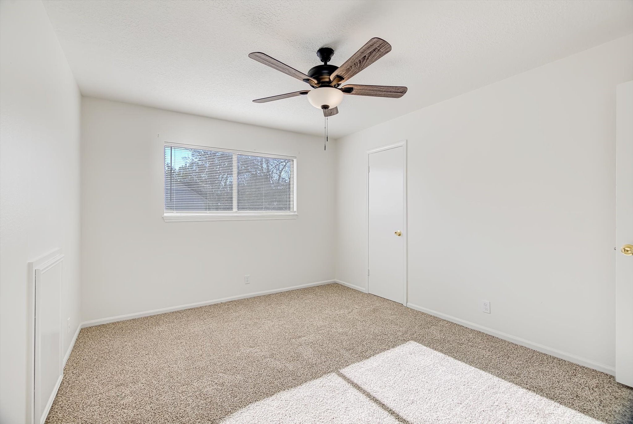 216 Any Way Street Lake Jackson, TX 77566 - Photo 36 of 49 an empty room with wooden floor and windows