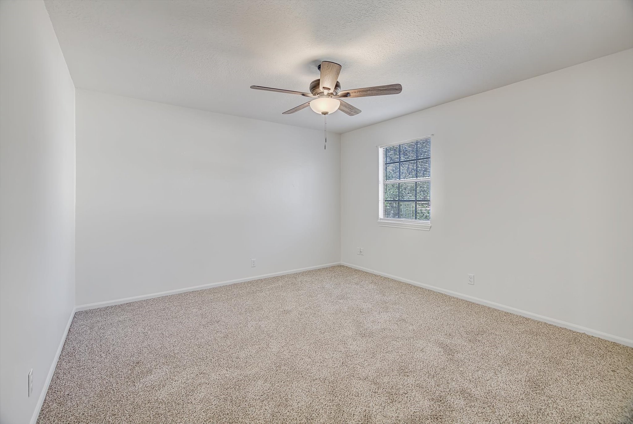 216 Any Way Street Lake Jackson, TX 77566 - Photo 39 of 49 an empty room with windows and ceiling fan