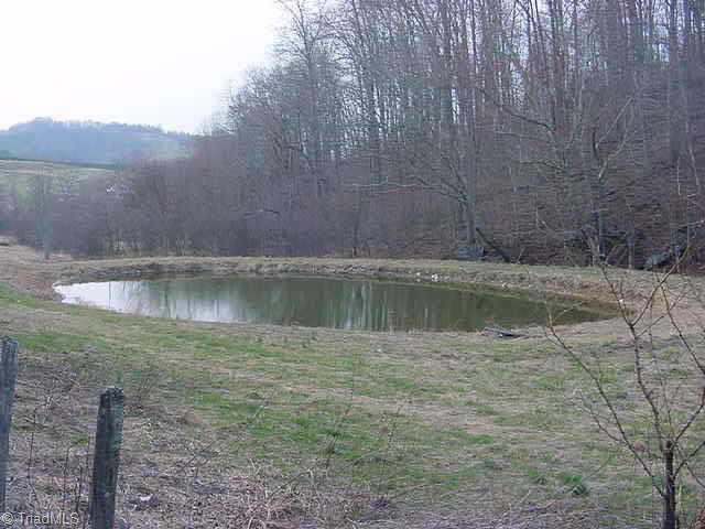 0 Irwin Grocery Road Sparta, NC 28675 - Photo 2 of 4 Other.