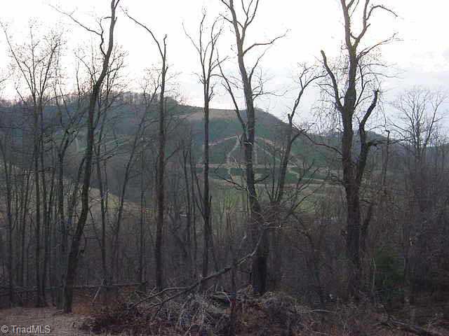 0 Irwin Grocery Road Sparta, NC 28675 - Photo 4 of 4 Other. View