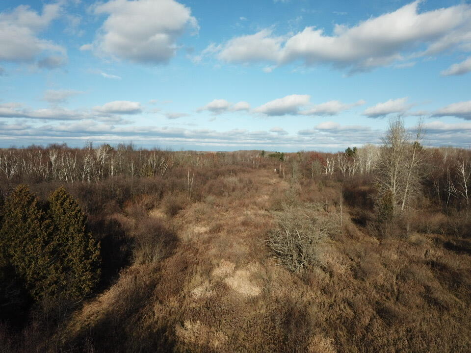 4624 Schmidt Road Gladwin, MI 48624 - Photo 28 of 45 IMG_3878