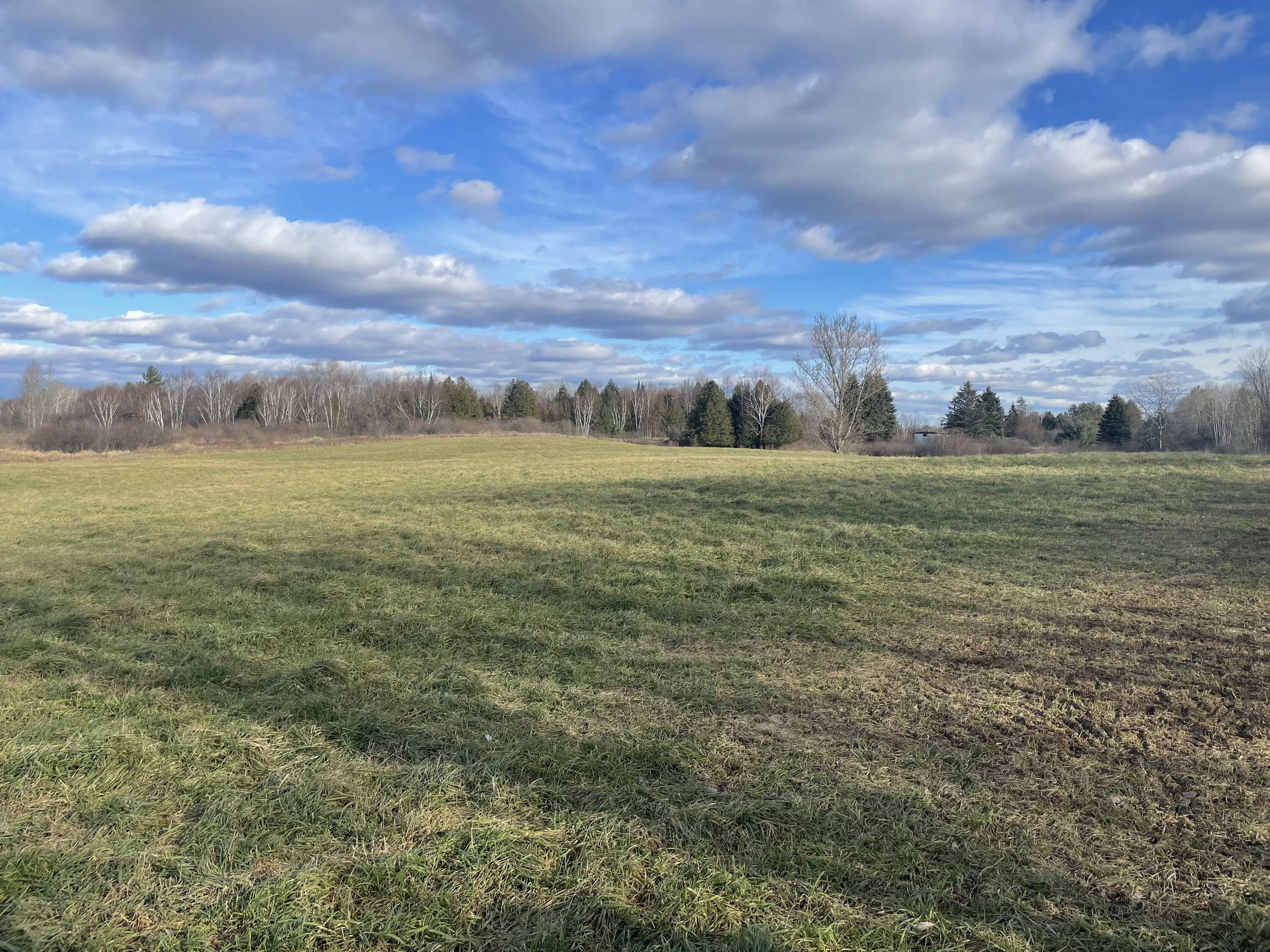 4624 Schmidt Road Gladwin, MI 48624 - Photo 10 of 45 IMG_3834