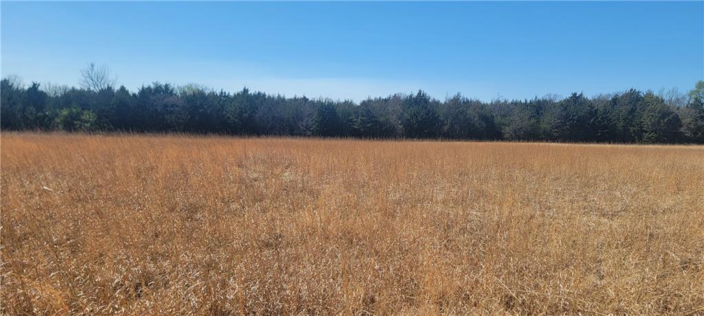 3528 West Virginia Road Kincaid, KS 66039 - Photo 11 of 65