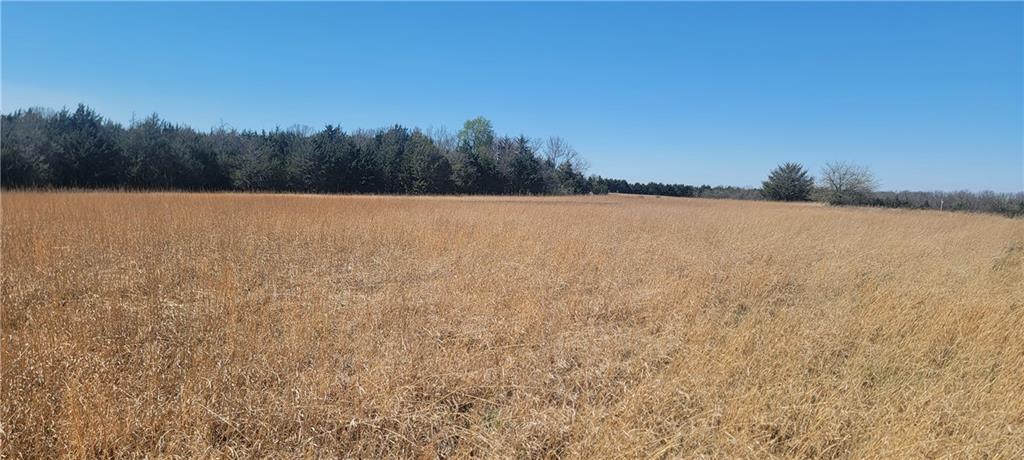 3528 West Virginia Road Kincaid, KS 66039 - Photo 12 of 65