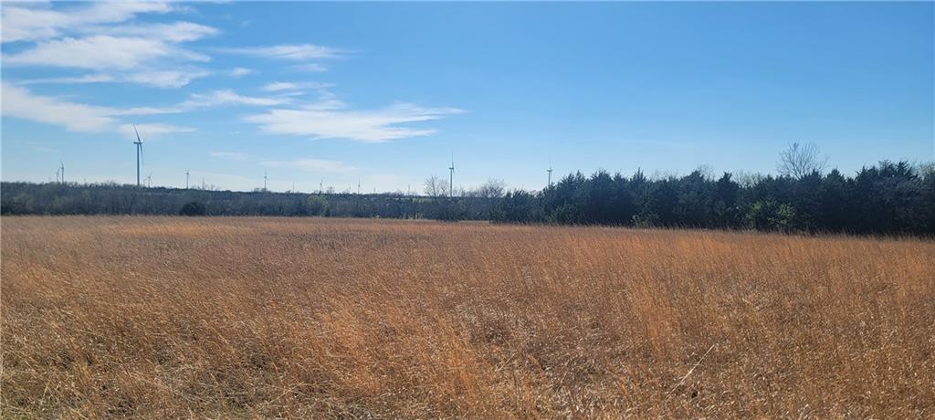 3528 West Virginia Road Kincaid, KS 66039 - Photo 14 of 65