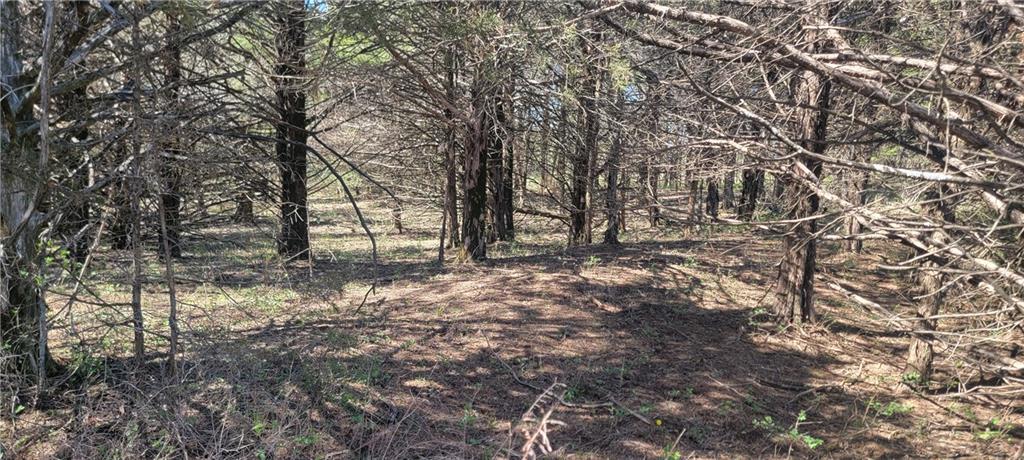 3528 West Virginia Road Kincaid, KS 66039 - Photo 15 of 65