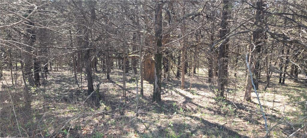 3528 West Virginia Road Kincaid, KS 66039 - Photo 16 of 65