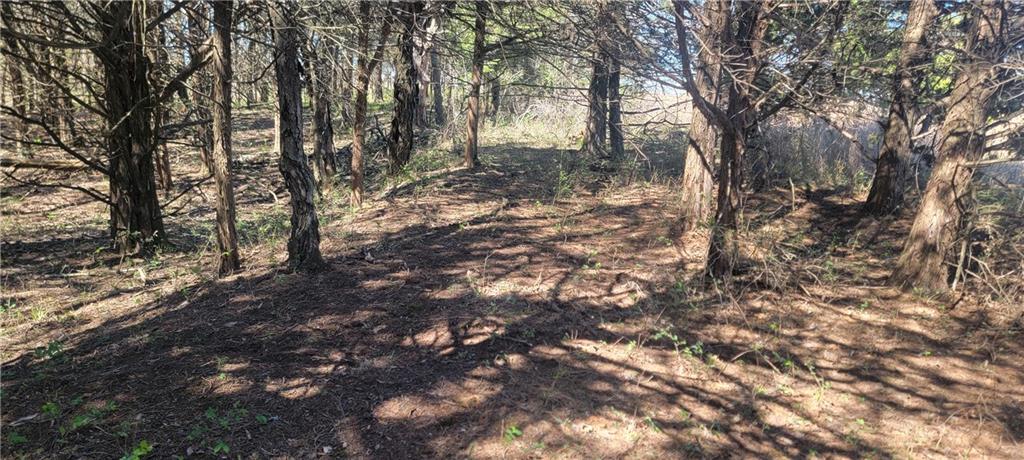 3528 West Virginia Road Kincaid, KS 66039 - Photo 17 of 65